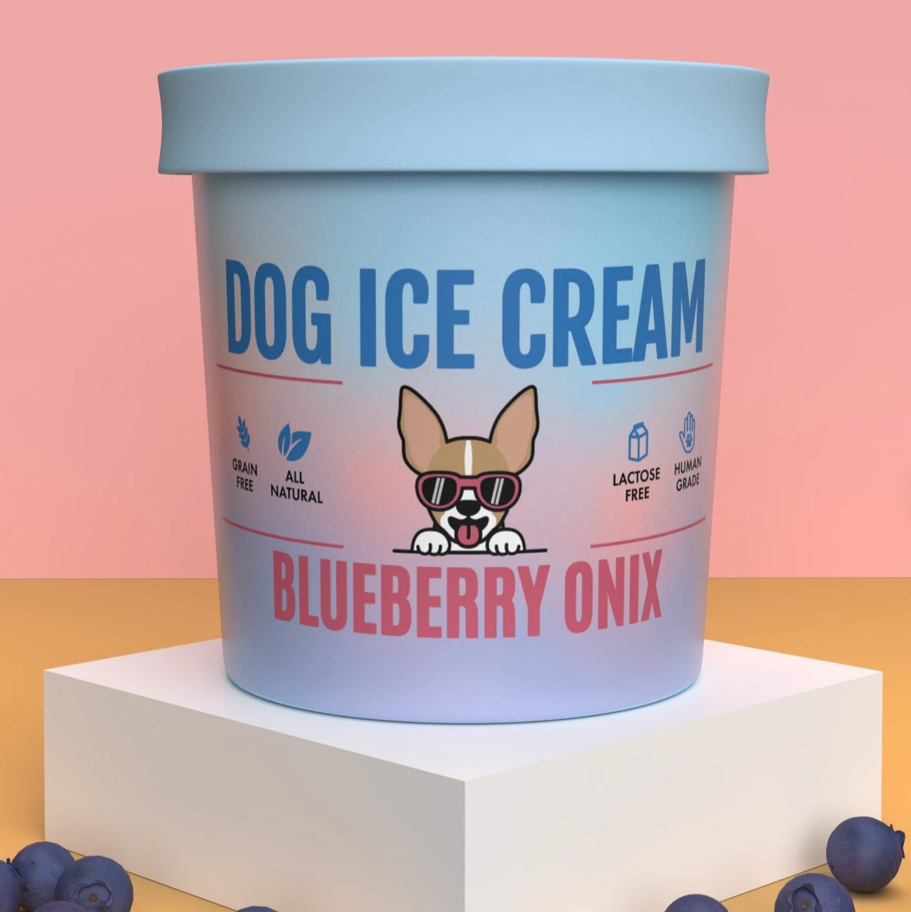 Healthy Hound Dog Ice Cream Mix and Freeze